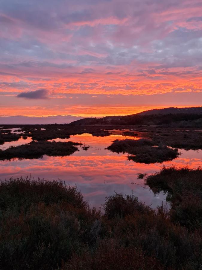 L'Oasis De Port Fitou Lejlighed Eksteriør billede