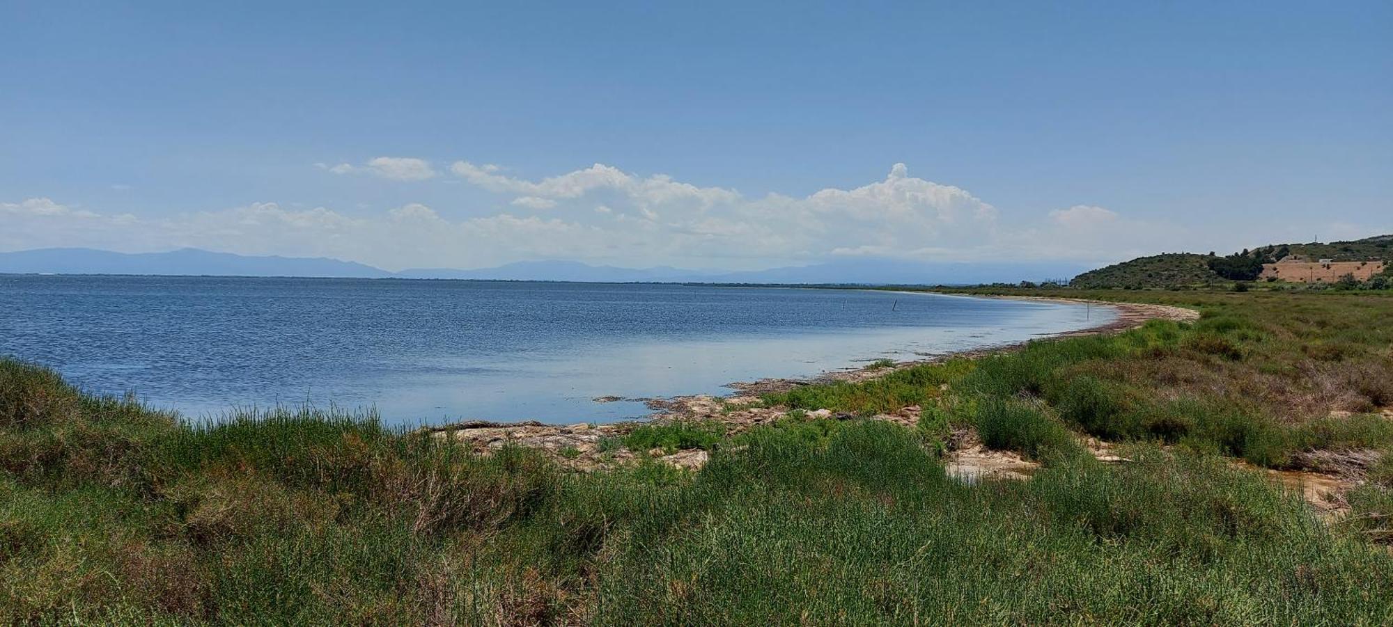 L'Oasis De Port Fitou Lejlighed Eksteriør billede